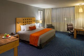 Real Inn Nuevo Laredo - Nuevo Laredo - 8
