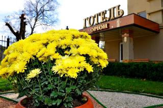 Hotel Orion - 5