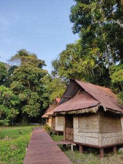 The Forest Elephant - Formerly known as the Flying Elephant - Havelock Island - 0