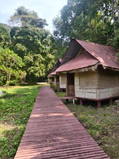 The Forest Elephant - Formerly known as the Flying Elephant - Havelock Island - 9