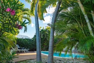 Villa Douceur Caraïbes - 7