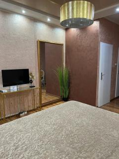 Studio apartman De Lux Loznica - Loznica - 6