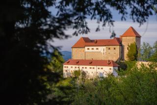 Rooms & Apartments Podsreda Castle - Podsreda - 0