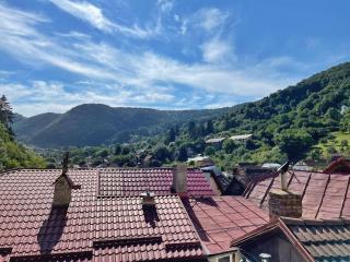 Rustic Residence Brasov - 4