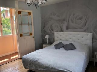 Chalet des Palmiers - Bagnères-de-Bigorre - 4