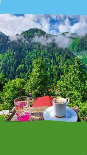 Nanus Ayder Bungalow and Breakfast - Çamlıhemşin - 9