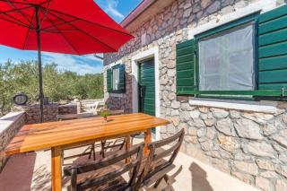 House Jure - Tkon - 7