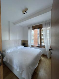 Apartman Zlatibor Centar - Zlatibor - 8