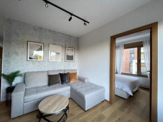 Apartman Zlatibor Centar - Zlatibor - 9