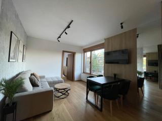 Apartman Zlatibor Centar - Zlatibor - 6