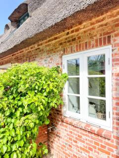 Ferienwohnung 4 im Mühlenhof - Sankt Peter-Ording - 1