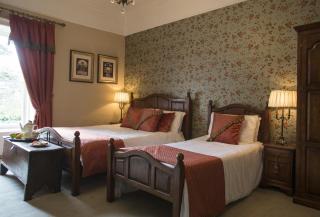 Raheen House Hotel - Clonmel - 9