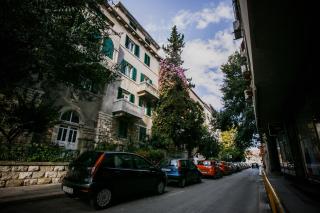 Guesthouse Old Mulberry - Split - 8