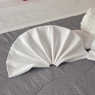 Affittacamere L'Orchidea - 7