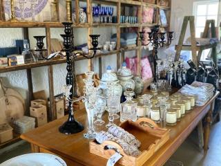 Weltevrede Fig Farm - Prince Albert - 4