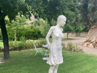 Weltevrede Fig Farm - Prince Albert - 2