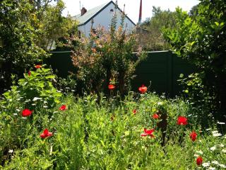 Edenwood House - 4