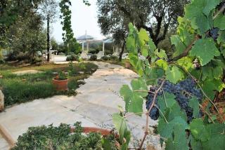 Casa Meridiana con piscina relax tra i vigneti - Itri - 4