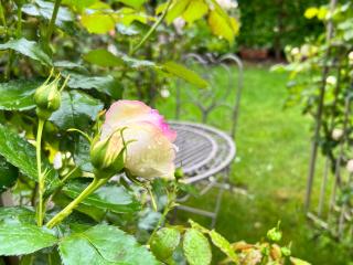 La Finestra sul Giardino - B&B - Cavedine - 2