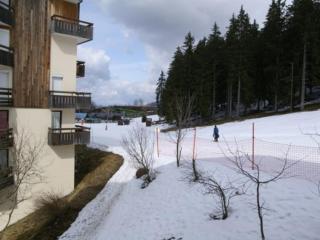 Studio au pied des pistes - 3 couchages - FR-1-557-98 - Les Adrets - 6