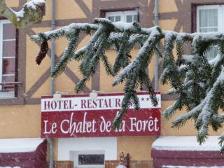 Le Chalet de la Foret Hôtel 3 étoiles et Restaurant - Vierzon - 1