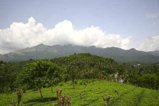 Besrauma Vythiri - 8