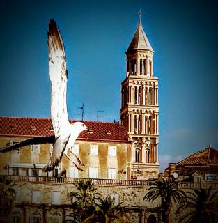 Alnea - Split - 0