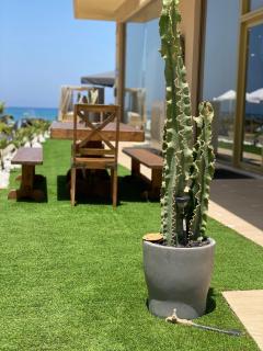 The little palace next to the sea - Rethymno - 1