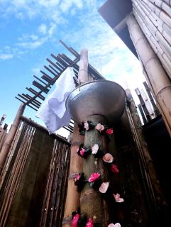 Pachamama Camp & Reserve - Glamping - 2