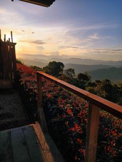 Pachamama Camp & Reserve - Glamping - 7