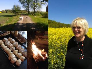 Stora Topphem - Skåne-Tranås - 9