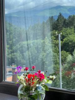 Dili guest house - Dilijan - 6