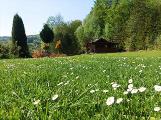 Zielone Wzgórze - 5