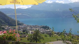 Gasthaus Platten - Gersau - 6