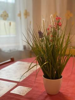 Alba Apartmany Železná Ruda - 4