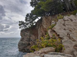 Sea-side Old Stone Villa with a private Garden - 8