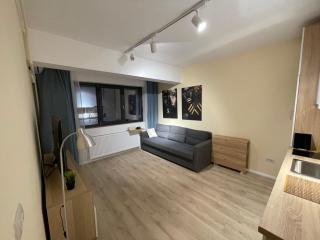 Riverside Luxury Apartment Near President Palace - Bucarest - 8