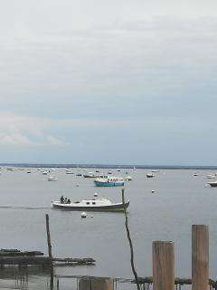 Maison ossature bois - 1