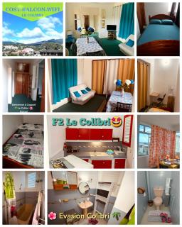 Le Colibri, vue exceptionnelle sur la Soufrière - 4