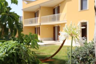 L'OASI DI CICCIO - 5