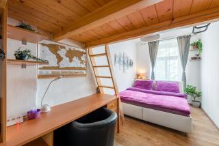 Žižkov apartments - Prag - 9