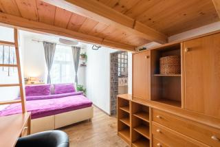 Žižkov apartments - Prag - 4
