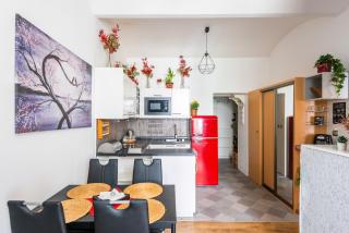 Žižkov apartments - Prag - 8