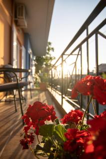 Tsertos Apartments - Kamena Vourla - 6