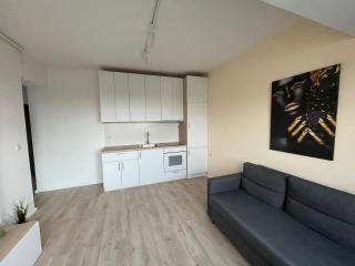 Coral Luxury Apartment Near Presidential Palace - Bucarest - 6