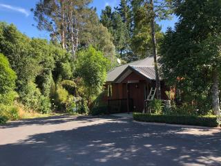 Peaceful cottage in beautiful landscaped native bush gully - Tamahere - 6