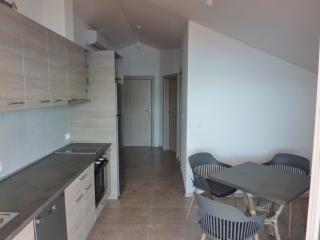 Rose - Apartmani Janovic - Luštica (Lustizza) - 2