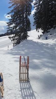 Der Malerwinkl - Alpenhotel - 8