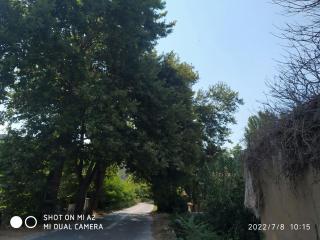 GIOTAS APARTMENTS - STUDIOS - Argalasti - 7