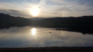 Mazamet : Résidence du Musée centre ville. - 5